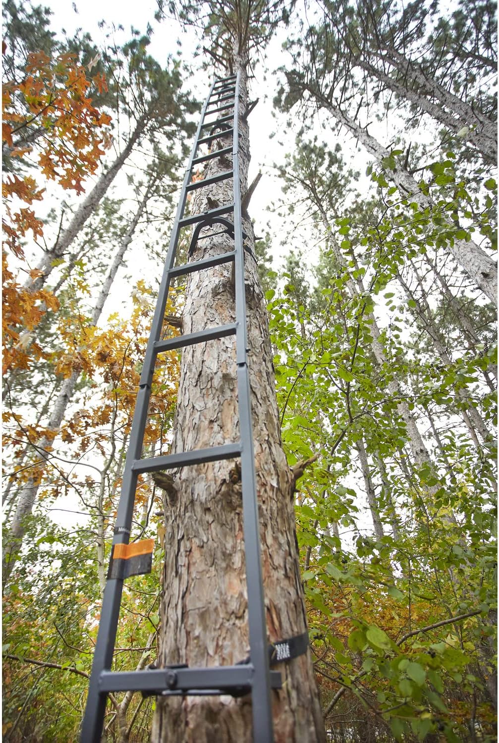 Guide Gear Climbing Ladder for Tree Stands, Climbing Equipment for Deer Hunting, 20’
