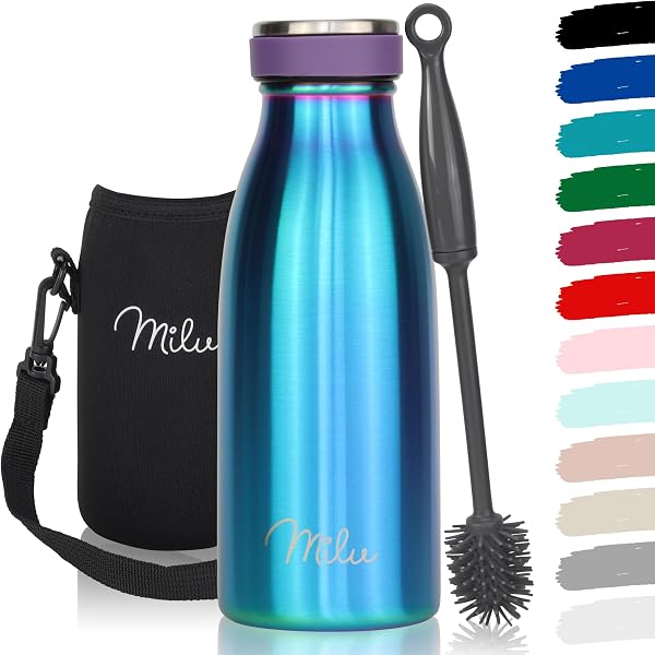 Milu Stainless Steel Drinking Bottle 350 ml - Insulated Thermo Flask for Water - Leak Proof, Insulated and Double Walled, Carbonated (Aurora, 350ml) - 1