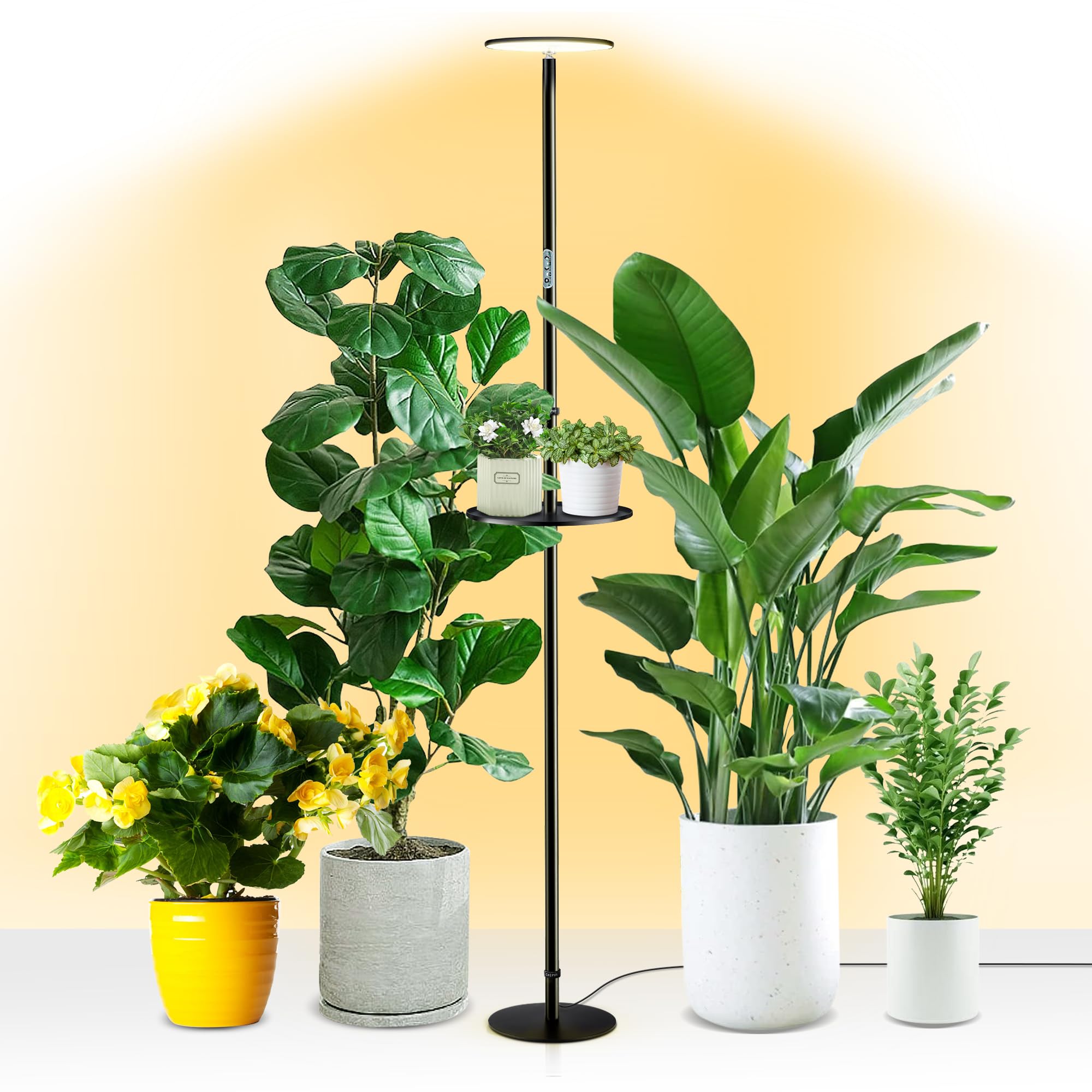 chiphy Grow Lights, Full Spectrum Plant Light for Indoor Plants, 40W ...