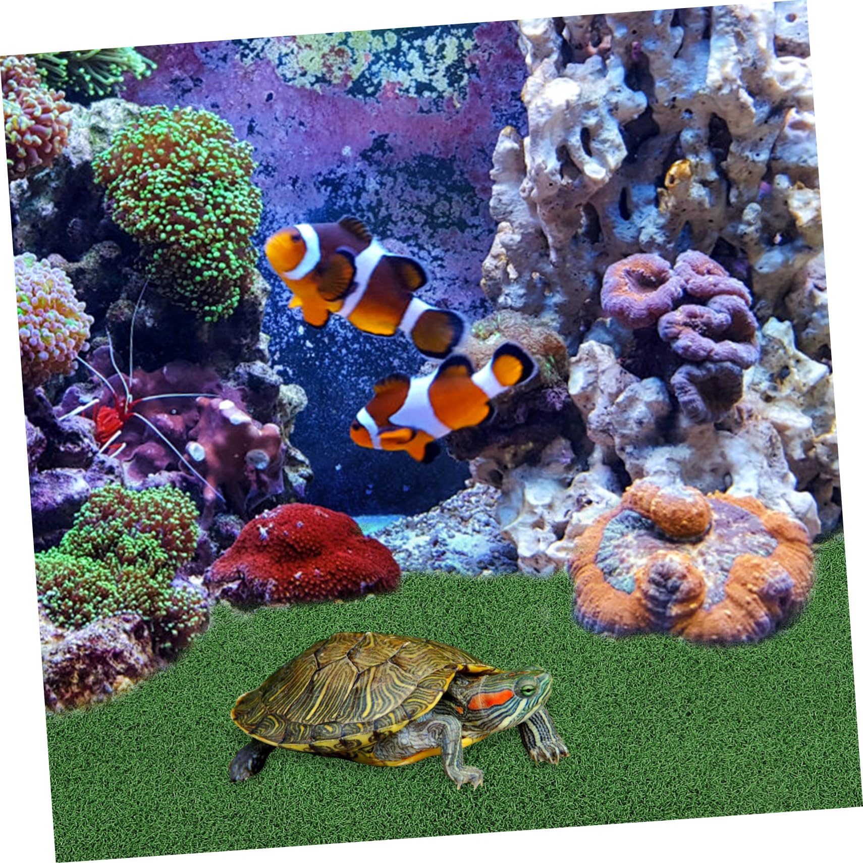 View 6