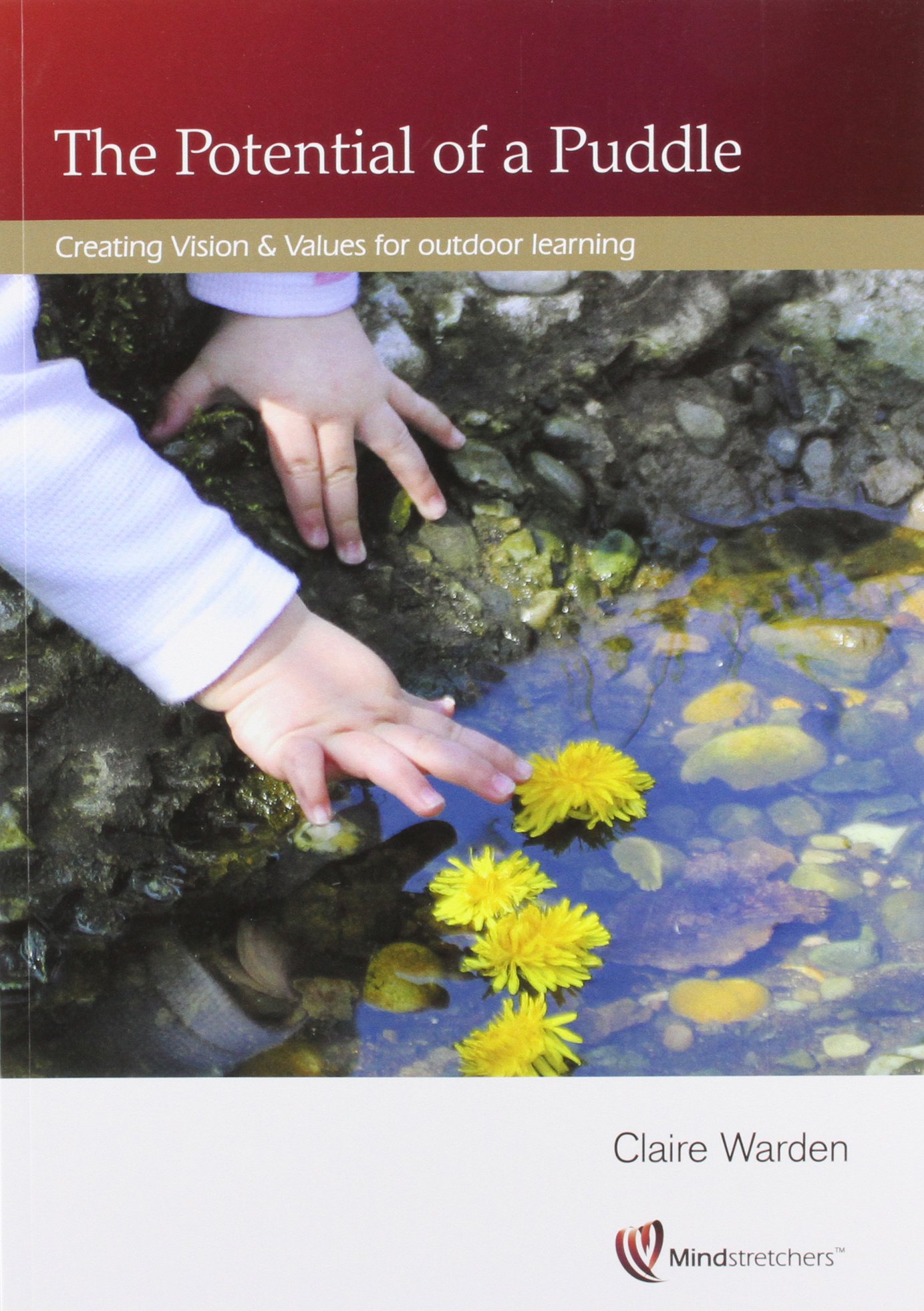 Potential of a Puddle (Paperback Book)