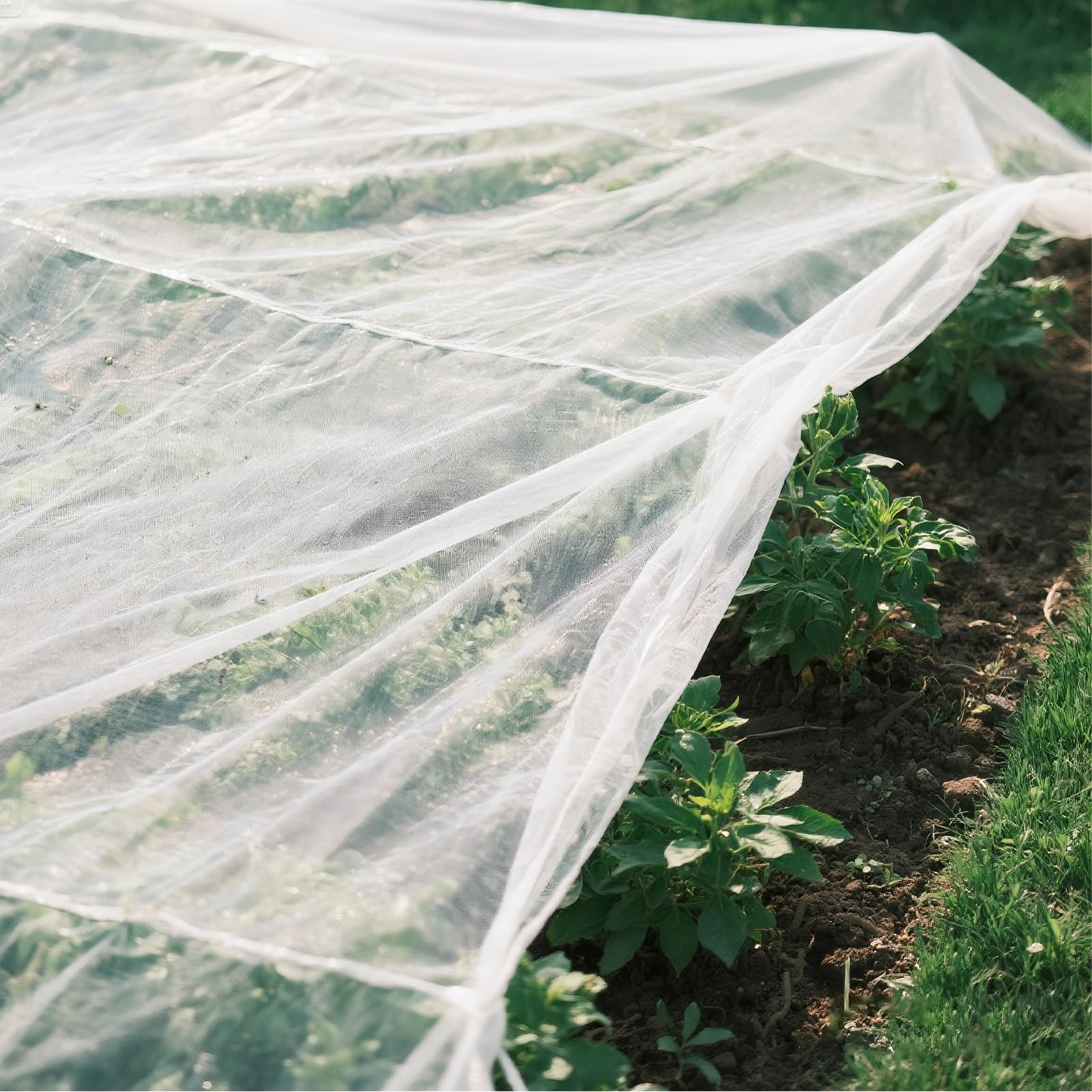 AOOWU Malla Fina Anti-Insectos, 3 X 10m Red de Protección de Cultivos, 0.38mm Red Fina Anti-Insectos Red para Proteger Plantas, Frutas y Flores, Malla Antiinsectos y Pajaros de Plagas