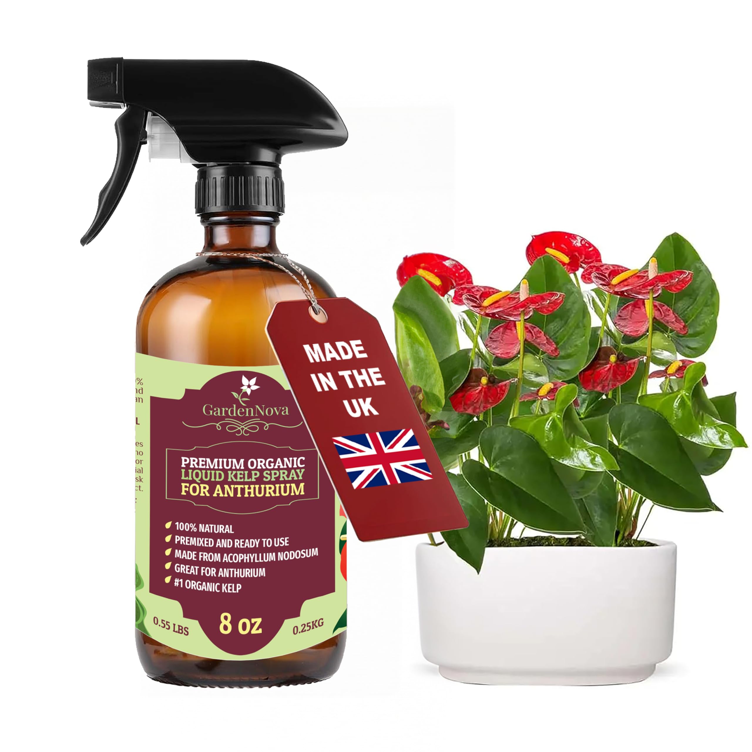 GARDENNOVA Professional Organic Liquid Kelp Spray for ANTHURIUM Plants - 8 oz - Ready-to-Use Fully Organic Seaweed & Kelp Fertilizer Mist — image 1