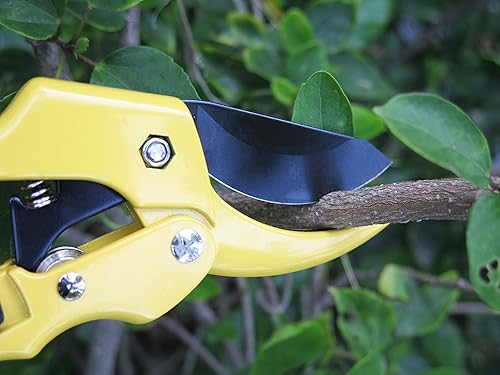 Miniatura 5 de Tijeras de podar Bypass de 8 pulgadas afiladas y fáciles de sostener tijeras de jardín, podadoras, tijeras (MSG302)