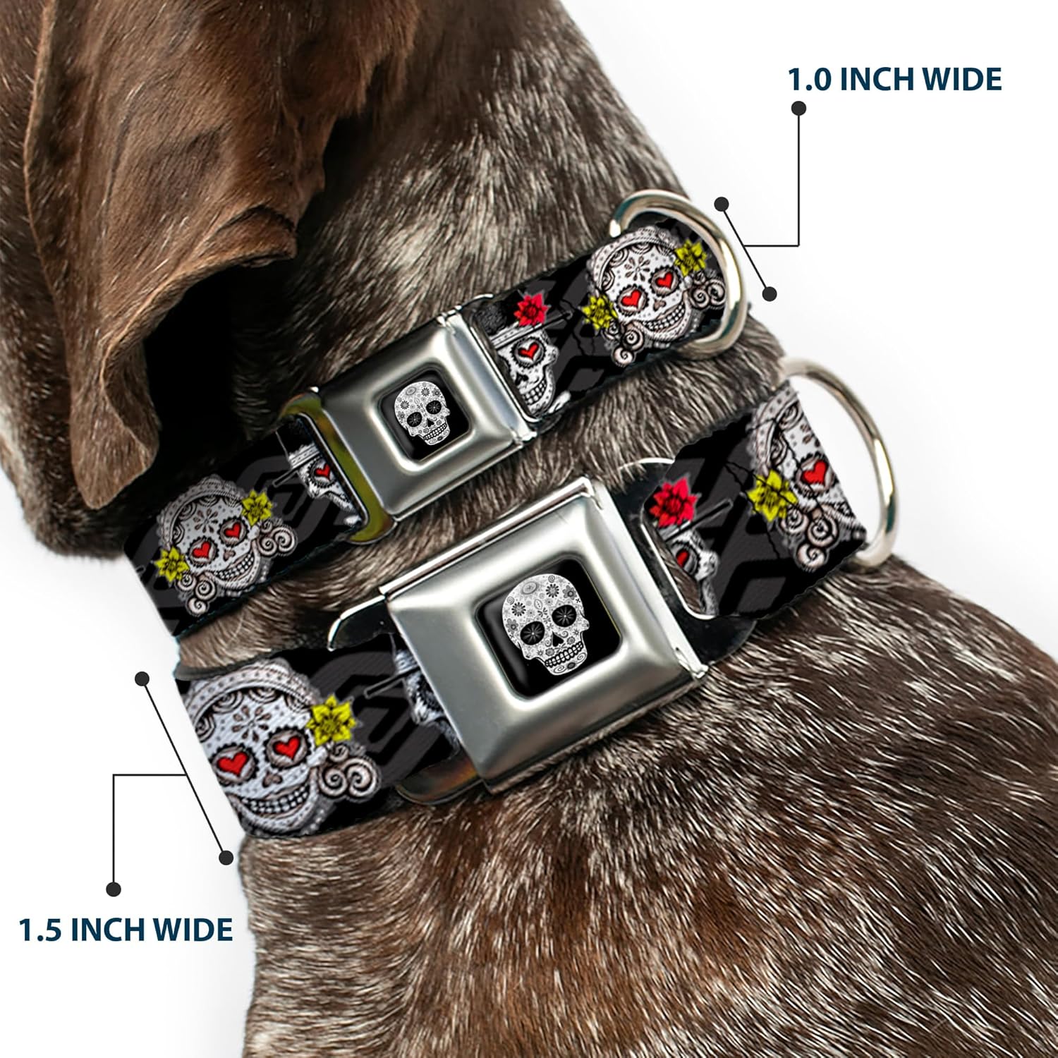 Dog Collar Seatbelt Buckle Los Novios Black Gray White Multi Color 15 to 26 Inches 1.0 Inch Wide