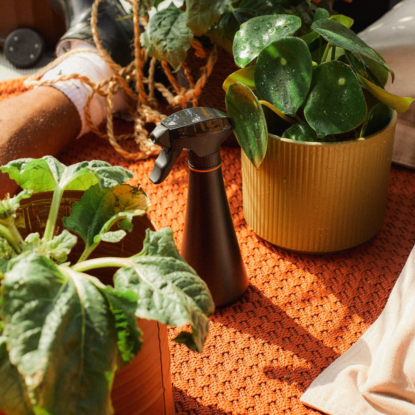 Fiskars Rociador para plantas Botella rociadora de 0,3 litros para regar plantas delicadas y limpiar hojas grandes, Altura: 20,5 cm, Resina, Color: Negro/Naranja, 1071306