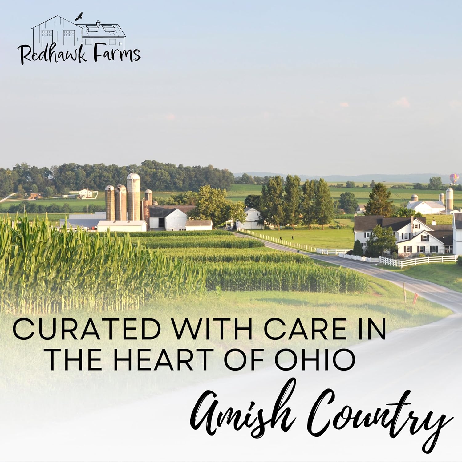 Redhawk Farms Seedless Black Raspberry Jam - Slowcooked Black Raspberry Jelly - Homemade Jams, Jellies, & Preserves (18 oz)