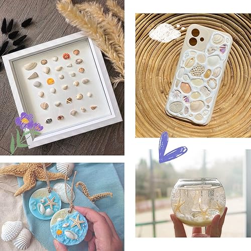 Miniatura 8 de Mezcla de conchas pequeñas de alta calidad, incluye conchas de mar, caracoles de mar y estrellas de mar, un total de 300 unidades (8 tipos), conchas