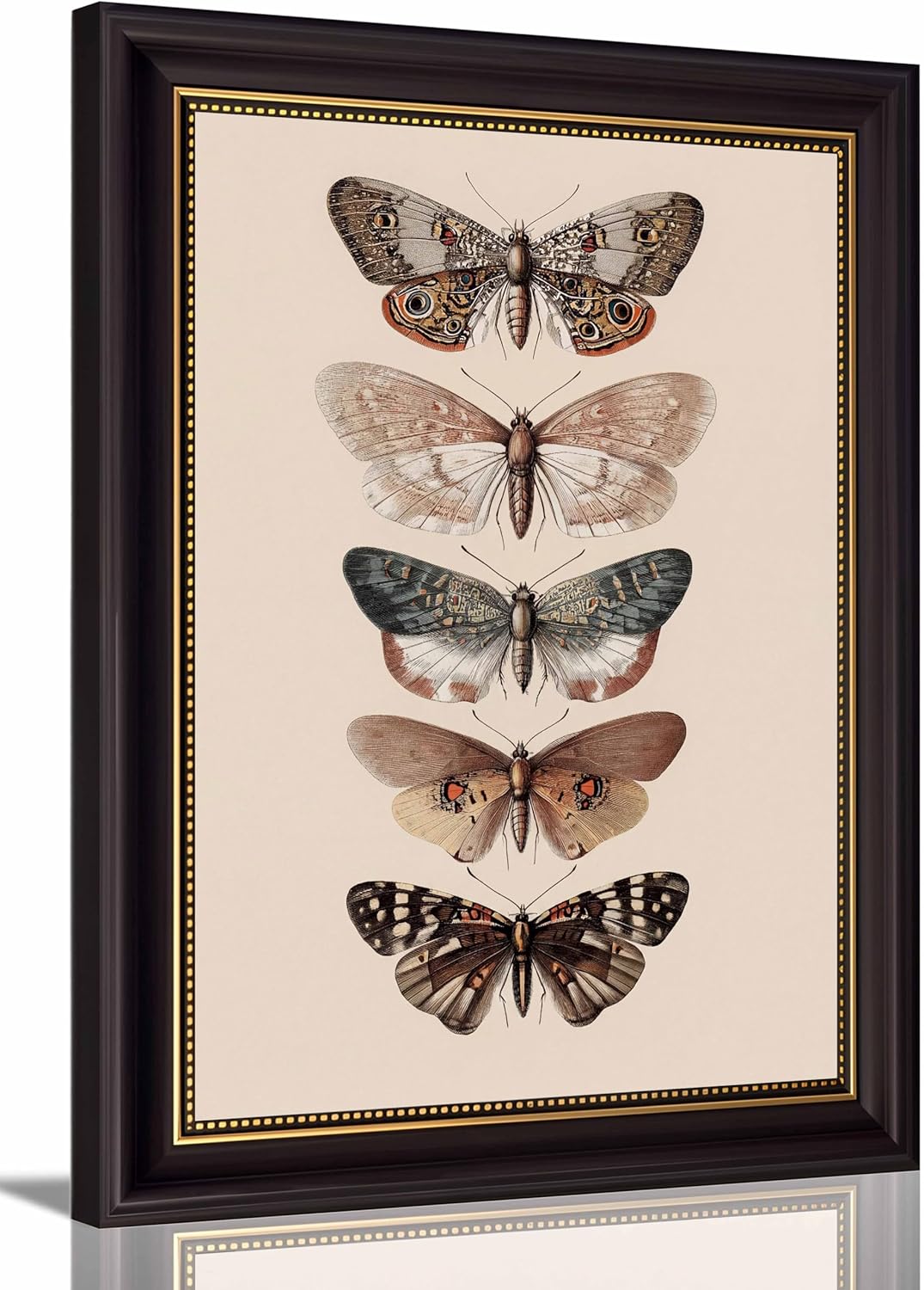 yunjulp Vintage Framed, Moody Butterfly Wall Art,Retro Butterfly Illustration Room Decor,Dark Moody Insect Canvas Picture,Antique Moth Artwork for Cottagecore Living Room Bedroom Decoration 12x16 Inch