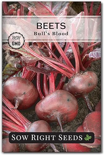 Sow Right Seeds - Semillas de remolacha sanguina para plantar - Paquete de reliquia sin OMG con instrucciones para plantar y cultivar un huerto en