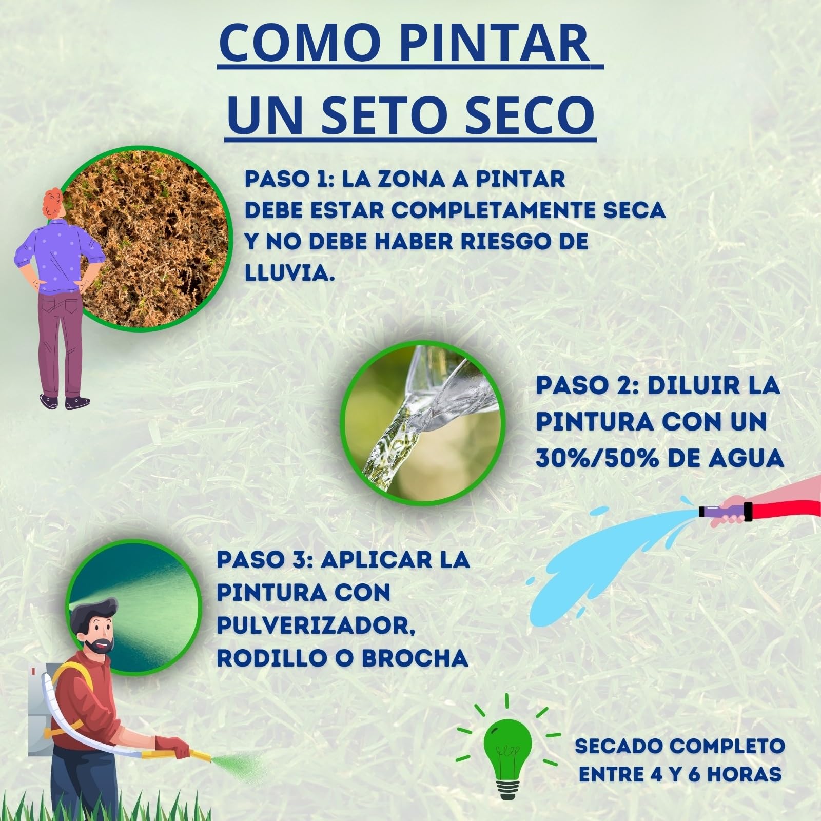 Vernice per siepi essiccate, facile applicazione, 100% ecologica, impermeabile, alta copertura (4 litri)