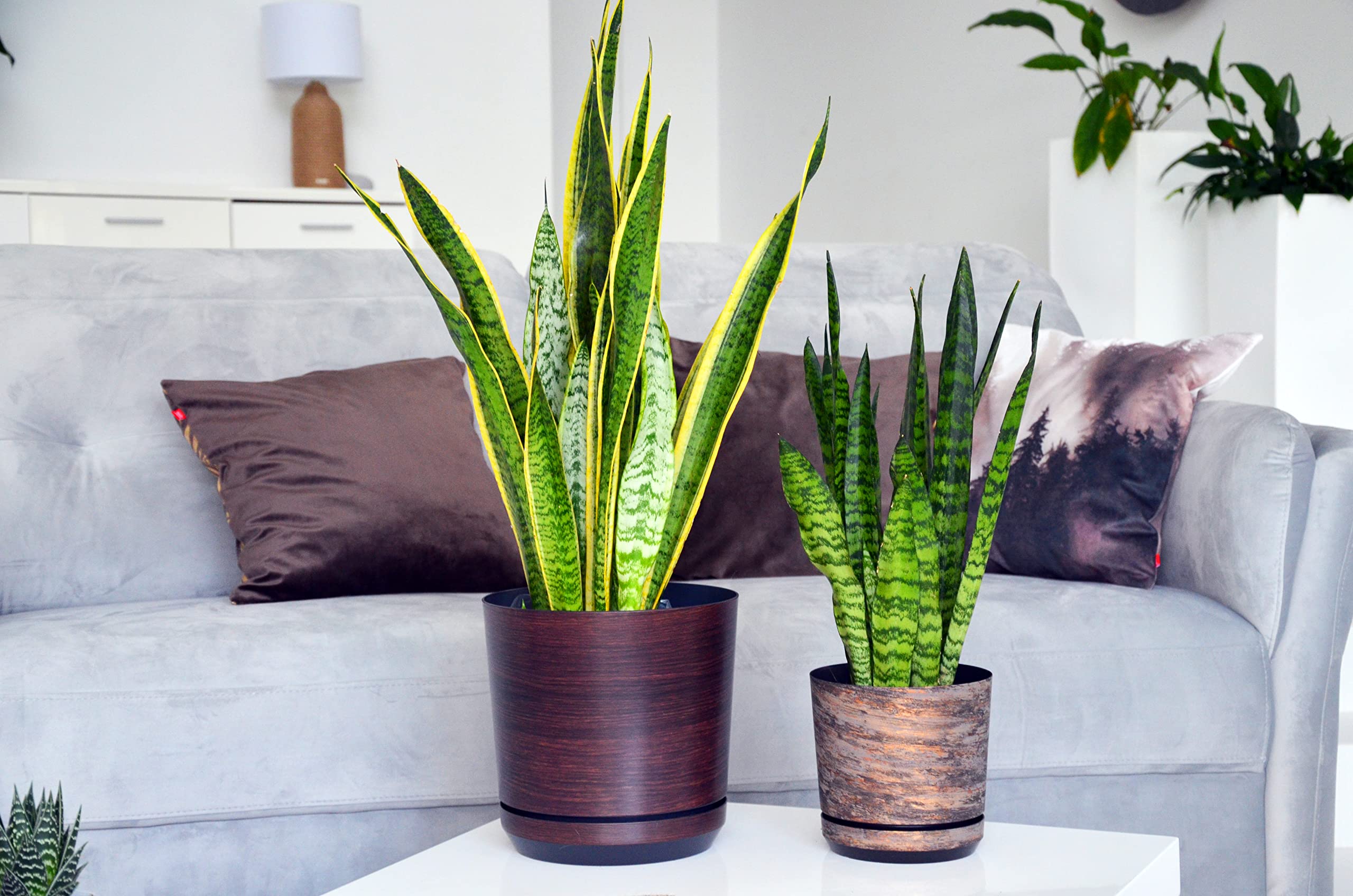 KORAD La Maceta de la Serie Dekor con Plato Adaptado para Interiores - Medida 26 cm - Modelo 032 - Corteza oxidada, Fabricado en plástico, Maceta Decorativa con Orificios de Drenaje