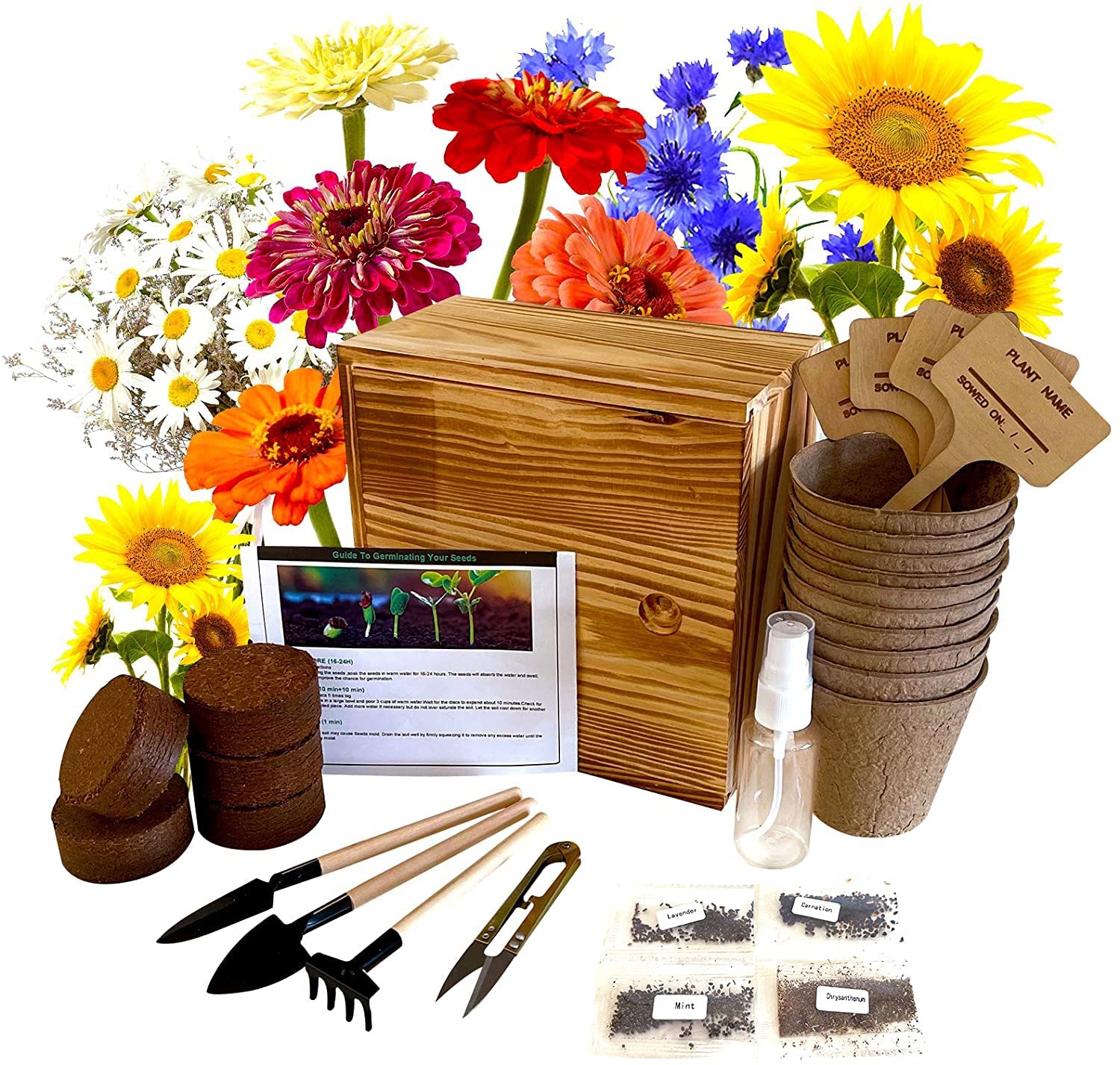 Flower Daisy Starter Kit Indoors with 4 Seeds, Daisy Cornflower Sunflower Zinnia, Including Soil, Pots, 3 Garden-Tool, Pruner, Sprayer, Plant Labels, Wood Box, DIY Craft for Kids Adults