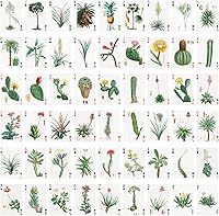 Vista 2 de Cartas de Cactus y Suculentas (Baraja de Póquer 54 Cartas Todas Diferentes) Ilustración de Libros Botánicos Antiguos Vintage por Pierre Redoute