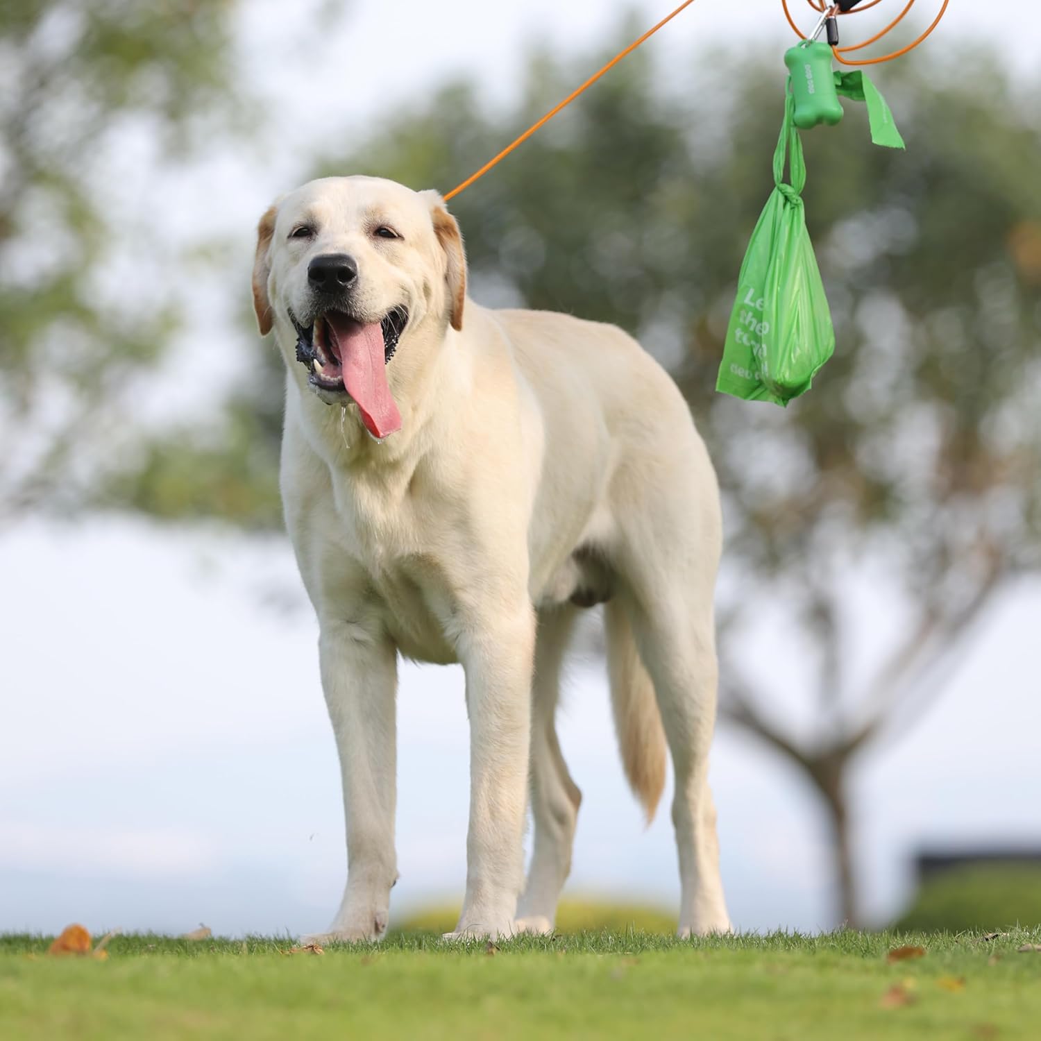 Dog Poop Bags with Handles Sakura Scented 18 Rolls 270 Counts Leak Proof and Extra Thick Waste Bags for Walking Small Medium Dogs