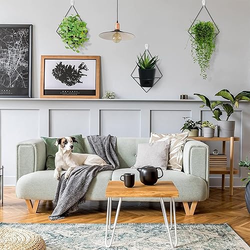 Miniatura 7 de Koalaime Juego de 3 macetas colgantes con colgador geométrico de metal para plantas, moderna maceta montada en la pared para suculentas, plantas de