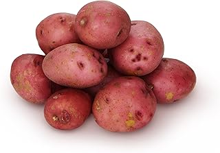 Organic Baby Red Potatoes, 24 oz