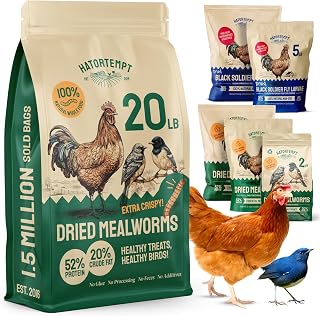 Hatortempt Dried Mealworm Bird Food - 20 Lb Bulk Pack - High Protein Poultry & Chicken Feed - Duck Food & Wild Bird Feed & Quail Treats