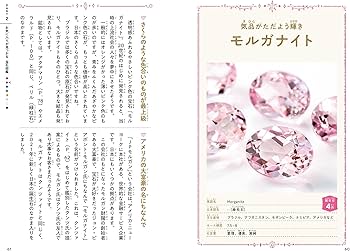 Amazon.co.jp: 宝石・ジュエリー図鑑 : BIZOUX, 小田島 庸浩: Japanese