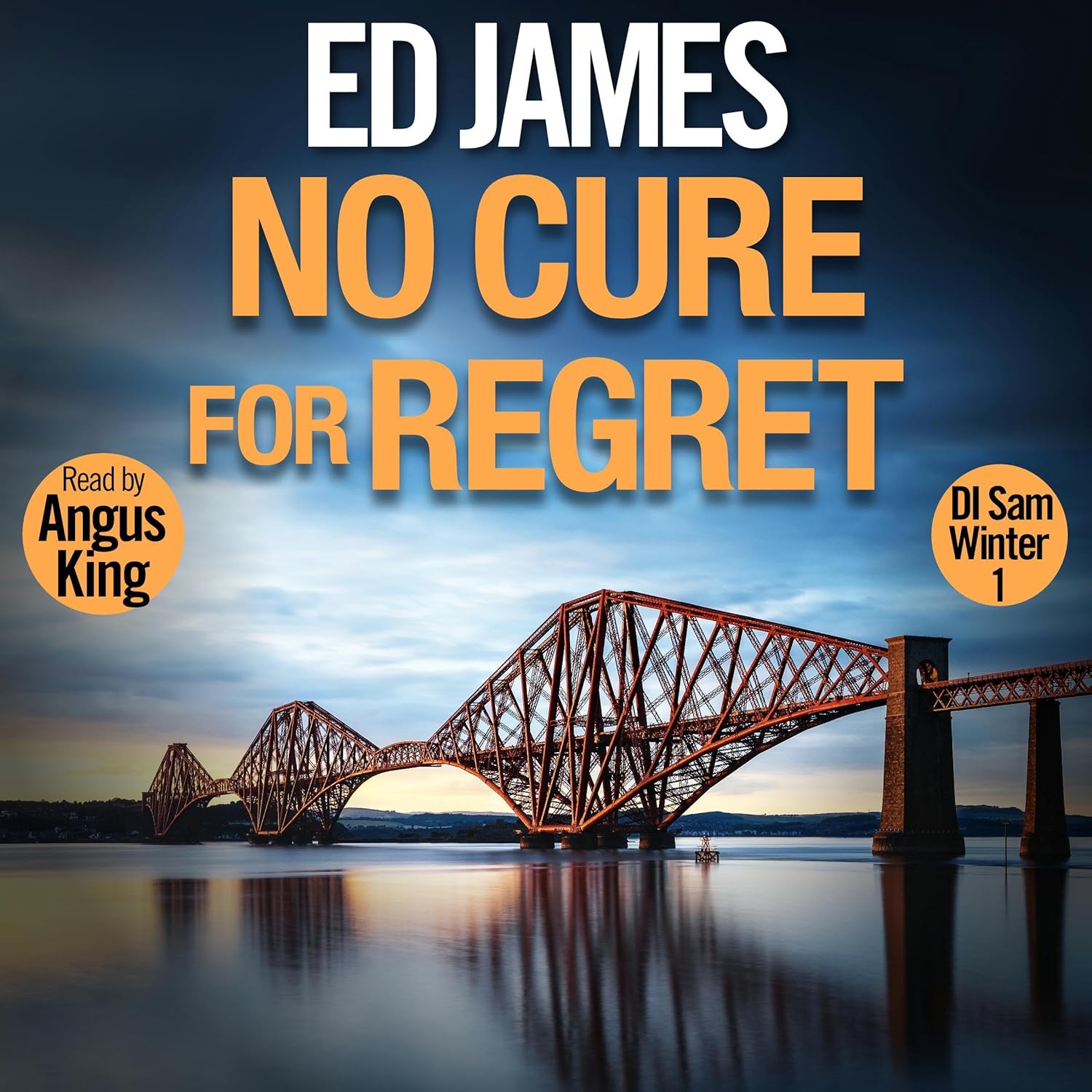 No Cure for Regret: DI Sam Winter Edinburgh Police Thrillers, Book 1    
	                
	            

                 
                        Audible Audiobook 
                  
                        – Unabridged