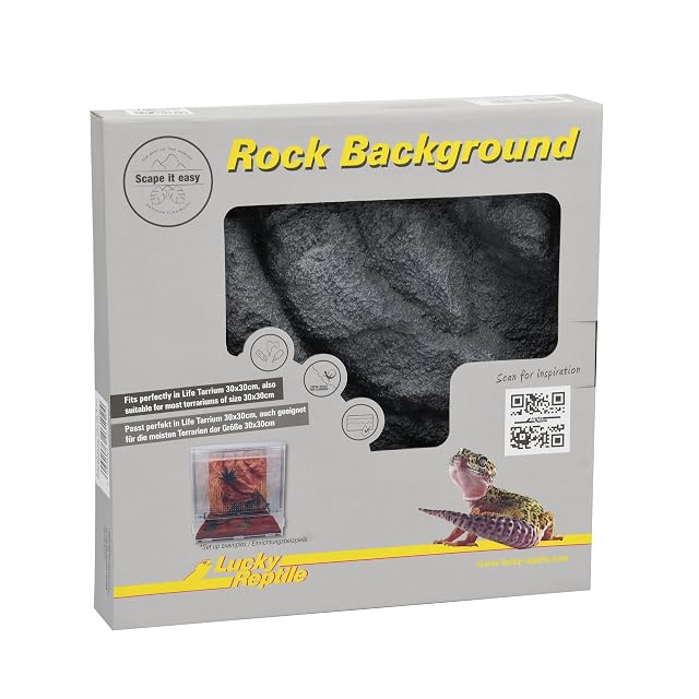 Foto 3 de 4 de Lucky Reptile Rock Background Scape it Easy - Basalt Grey 28 x 28,4 cm, Apto para LifeTarrium 30 x 30