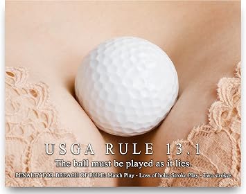 Golfing Motivational Poster Art Print 11x14 Vintage Golf Clubs Shoes Balls Driver Bag Wall Decor Pictures