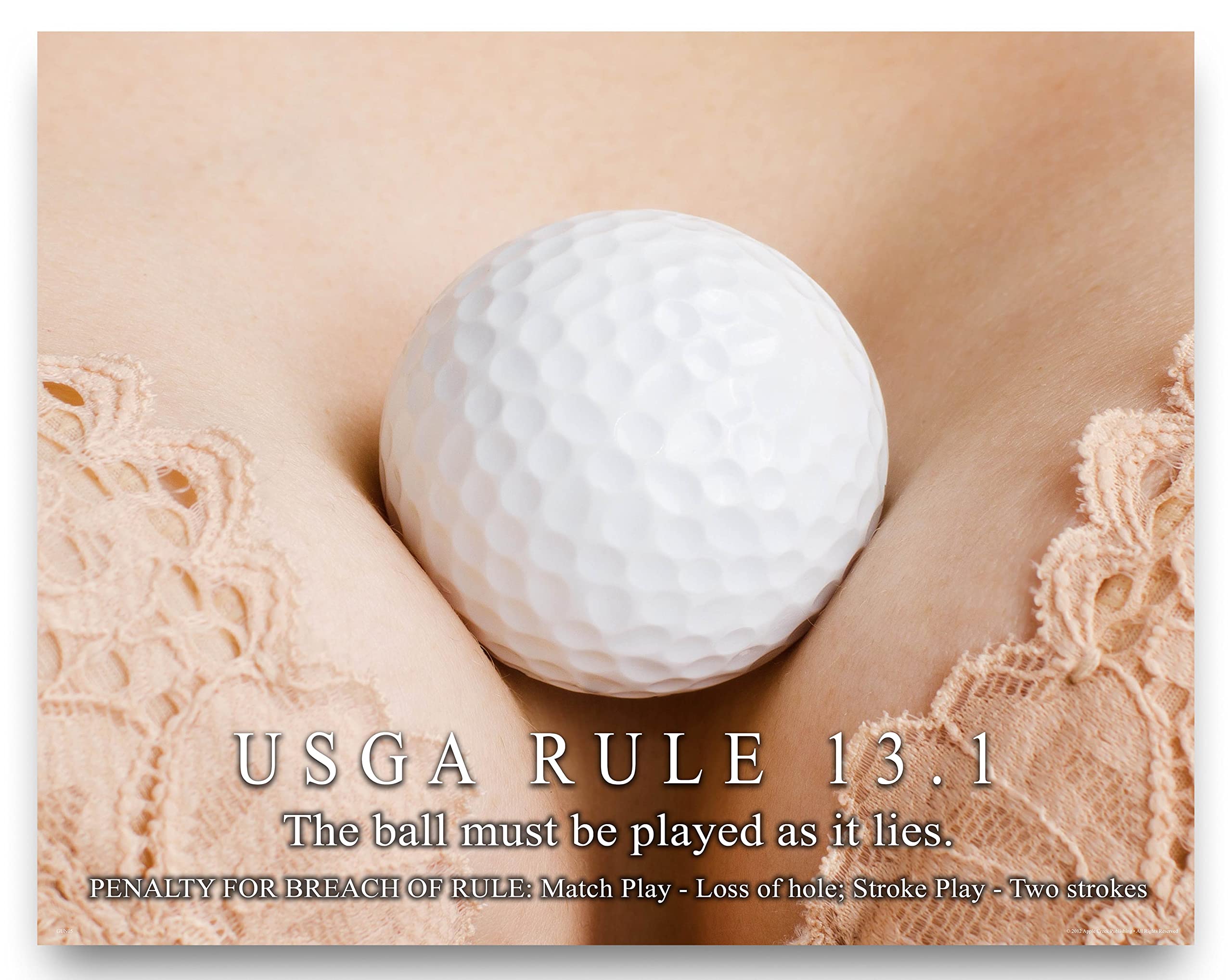 Apple Creek Golfing Motivational Poster Art Print 11x14 Vintage Golf Clubs Shoes Balls Driver Bag Wall Decor Pictures