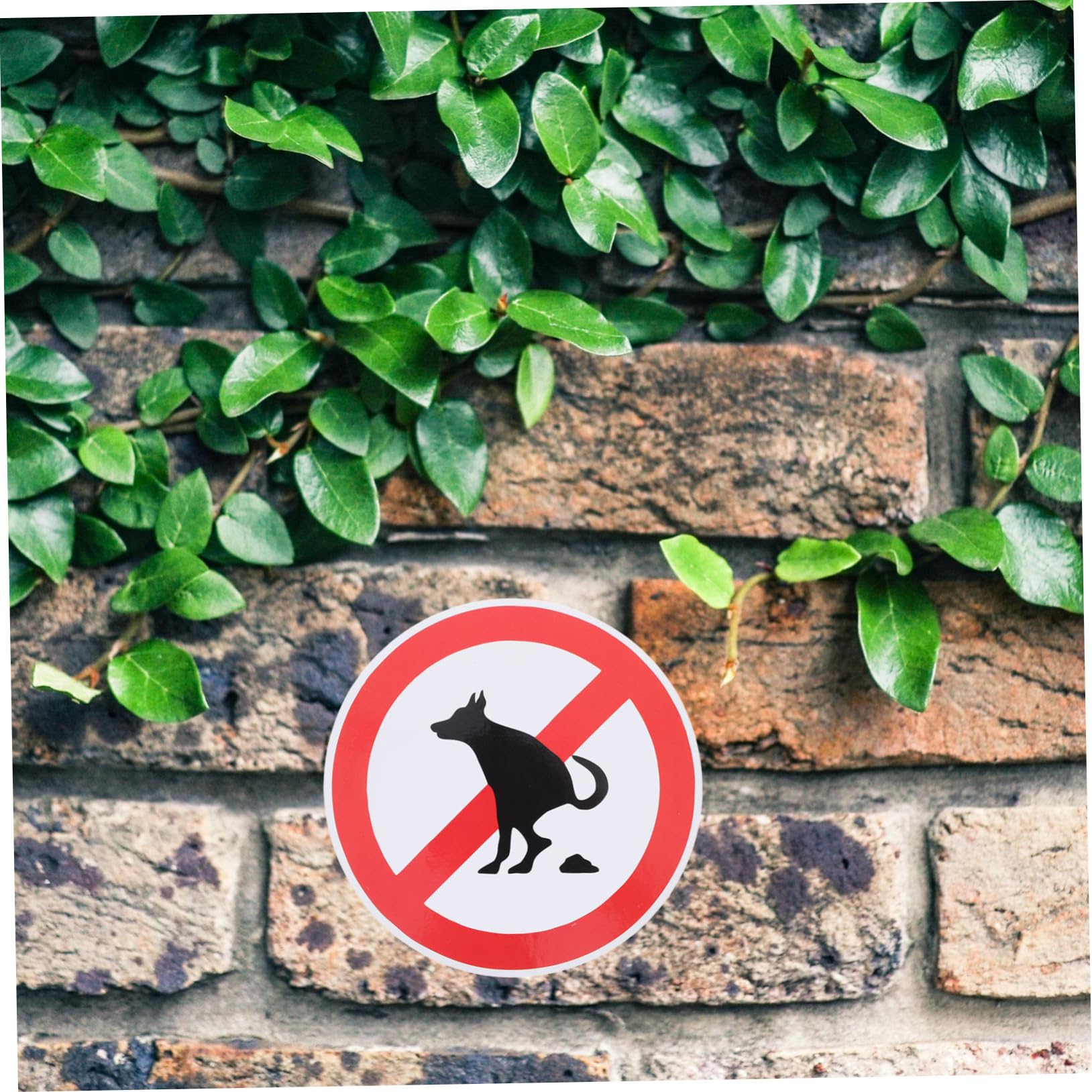 Cartello Della Cacca Di Cane Ripulito Fotografia Stock - Immagine Di Proprietario, Escremento