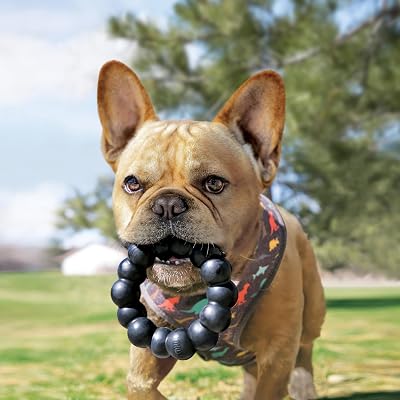 KONG Extreme Ring - Jouet annulaire en caoutchouc naturel durable pour des habitudes de mastication saines - Jouet à mâcher prend en charge la santé dentaire des chiens - Jouet pour chien prend en charge les instincts pendant le temps de jeu - pour les chiens XL