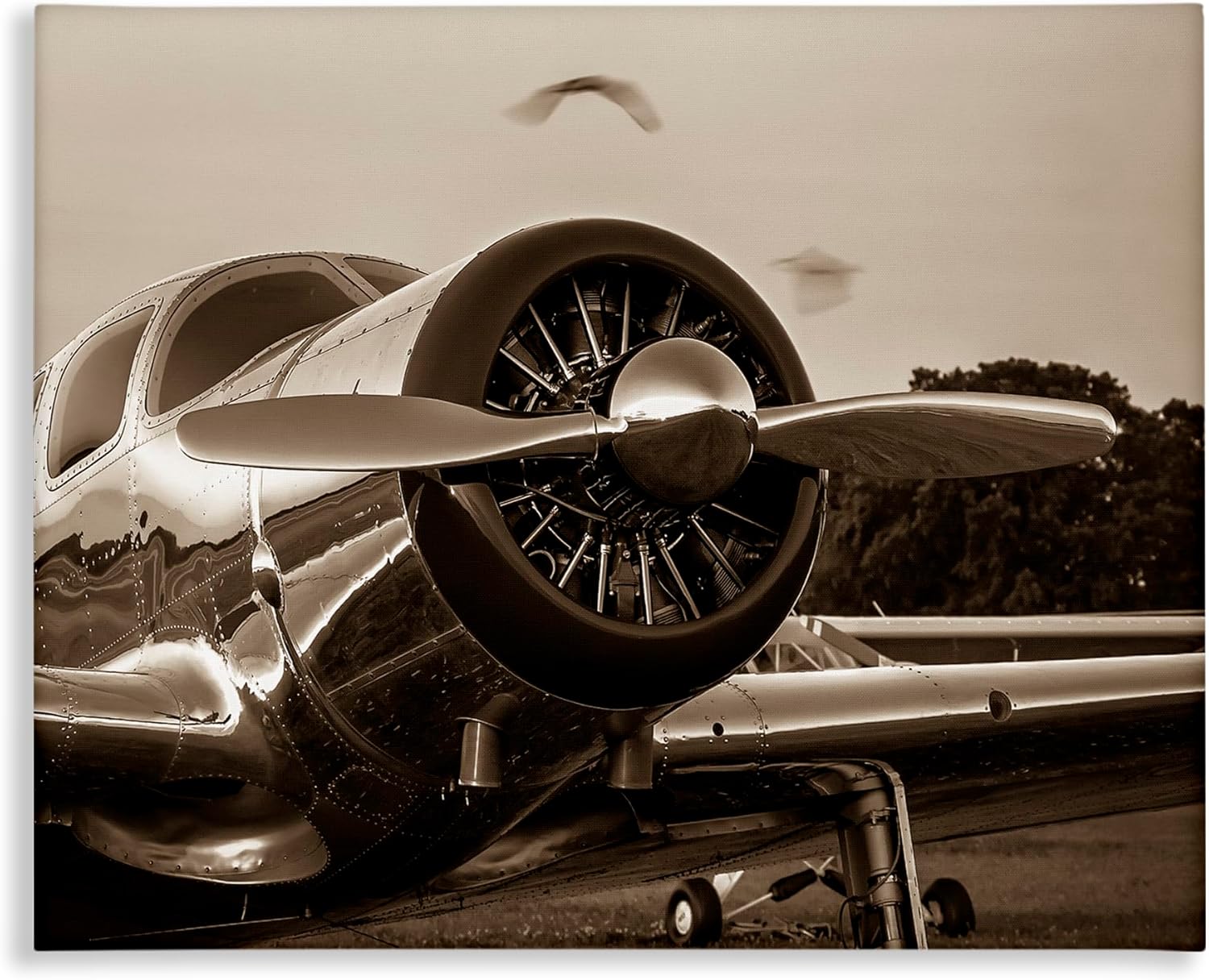 Stupell Industries Vintage Propeller View Canvas Wall Art Design by John Slemp, 30 x 24