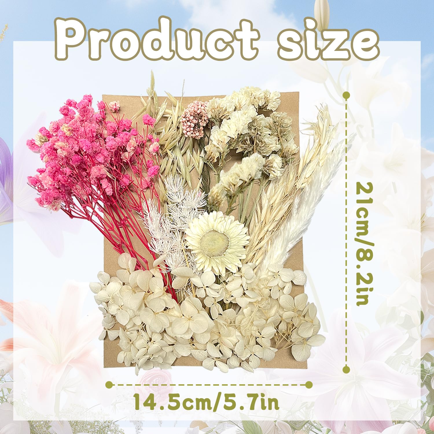 Dried & Pressed Flowers - Crafts for DIY Arts Resin, Scrapbooking, Jewelry Making & Floral Decorations (Pink & White) - Image 2