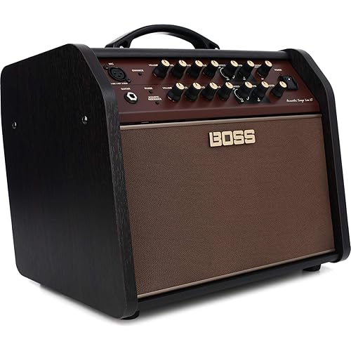 BOSS Acoustic Singer Live LT Guitar Amp