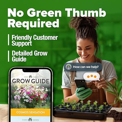 Miniatura 7 de HOME GROWN Cosmos - Semillas de flores a granel para 2026 (1.8 onzas) más de 8,000 semillas anuales de flores silvestres tradicionales mezcla apta