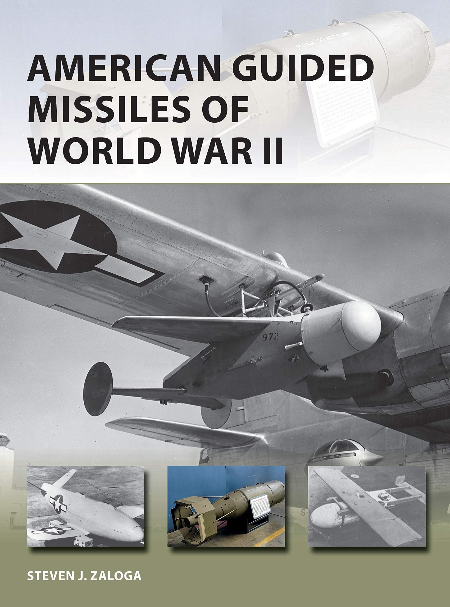 American Guided Missiles of World War II: 283 (New Vanguard)