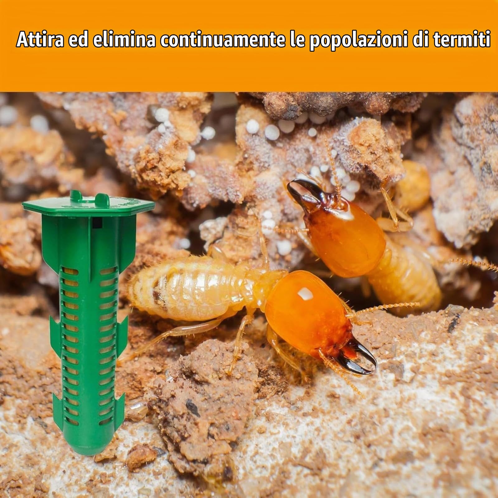 Stakes di Termite, di Esca di Monitoraggio della Termite - Esca di Termite Form per Carpentiere - di Controllo Aniaml Sicuro Ad Azione Rapida Ad Azione Rapida per La Cura del Giardino