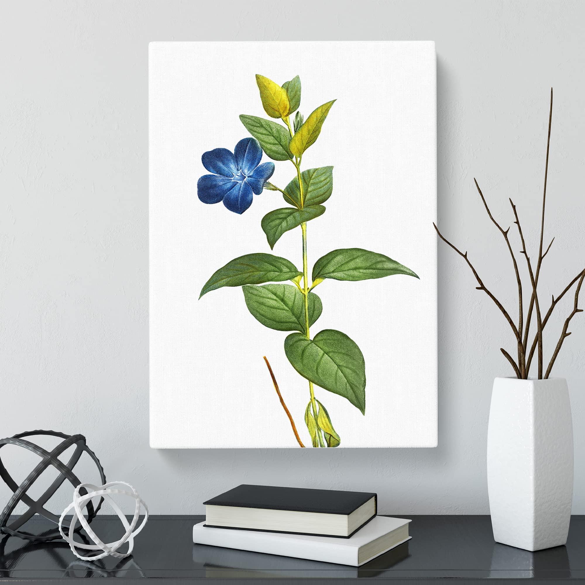 Periwinkle Blue Flowers By Pierre Joseph Redoute Canvas Print, Mixed, 25L x 50W cm - Image 3