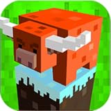 Pocketdev