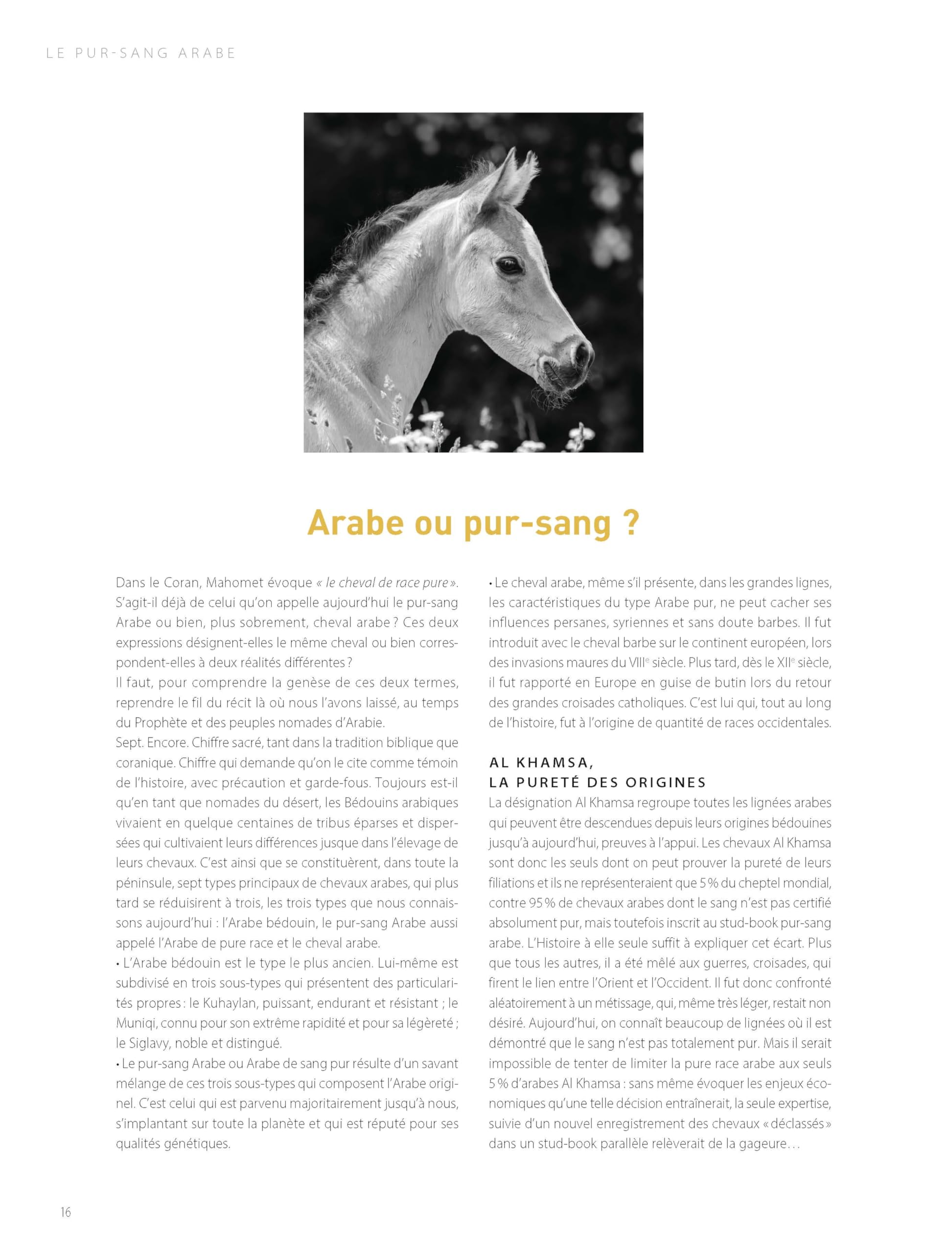Chevaux de rêves - Les plus belles races du monde - Nouvelle édition