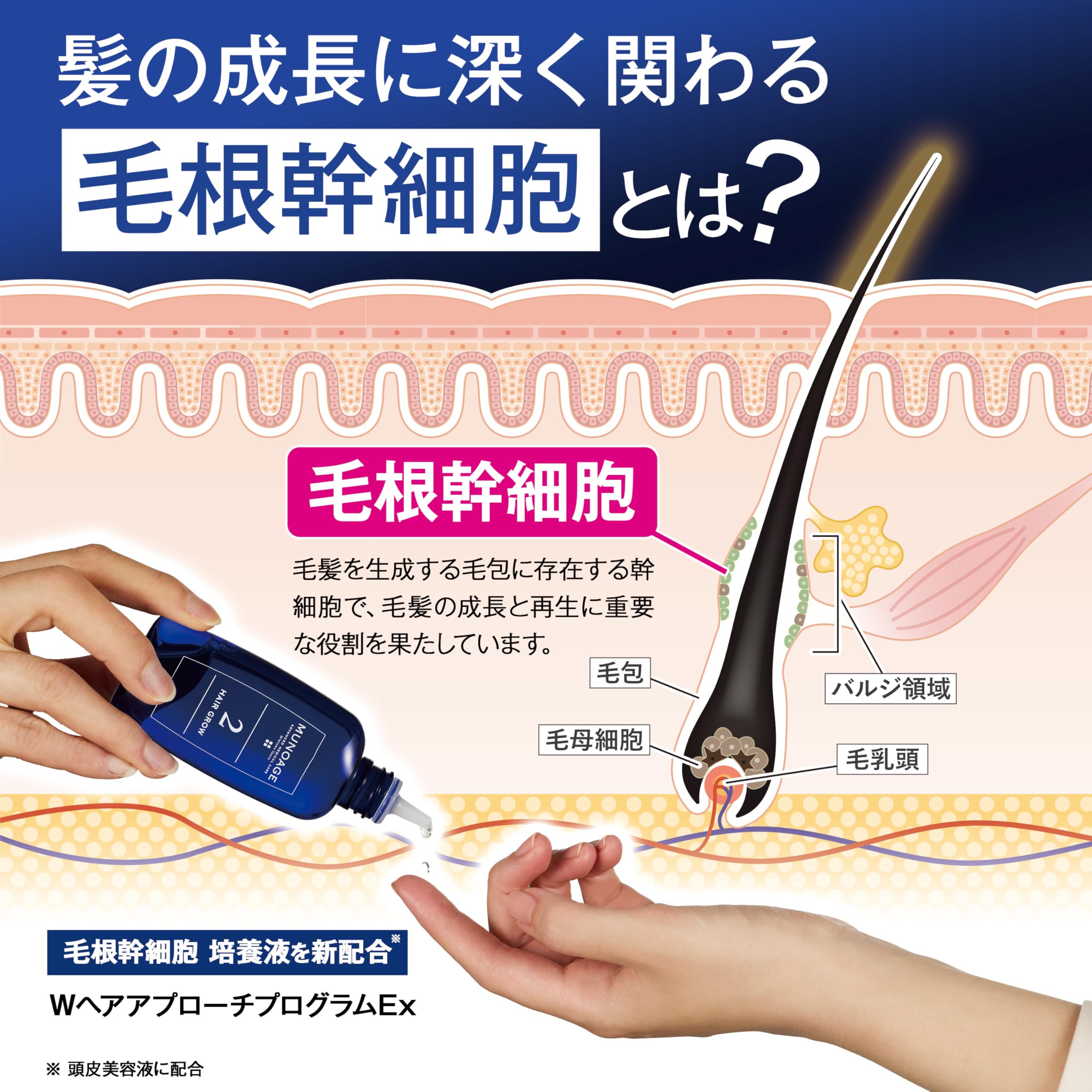 Amazon | ミューノアージュ Wアプローチヘアプログラム Ex [医薬部外品