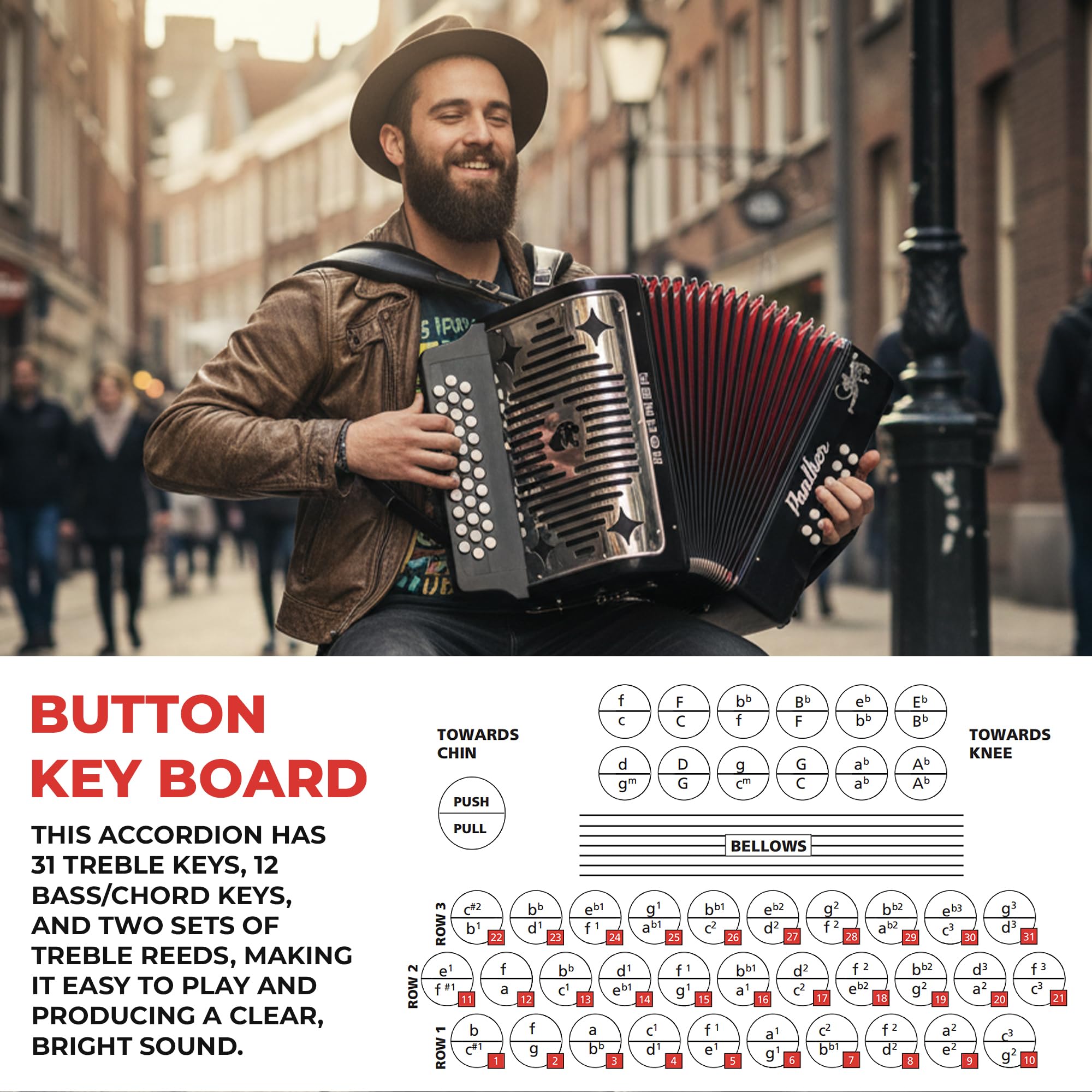 Amazon.com: Hohner Panther Diatonic Accordion - Keys F/Bb/Eb