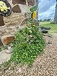 Review Image by Rafter H Ranch Rafter H Ranch