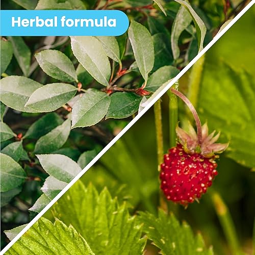 Miniatura 4 de Pawtitas Bálsamo nasal para perros para humectantes, narices secas, agrietadas y crujientes de perro que proporcionan una capa de protección en el