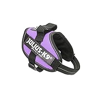 Julius-K9, Pettorina IDC Power