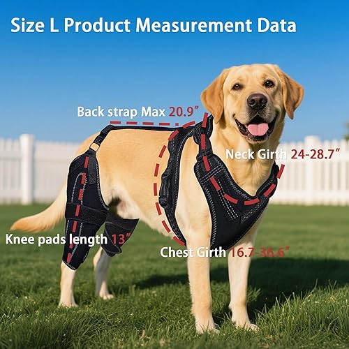 Miniatura 5 de Rodillera para perro para pierna trasera desgarrada del ACL, soporte para piernas traseras de perros, articulaciones cálidas y alivia el dolor en