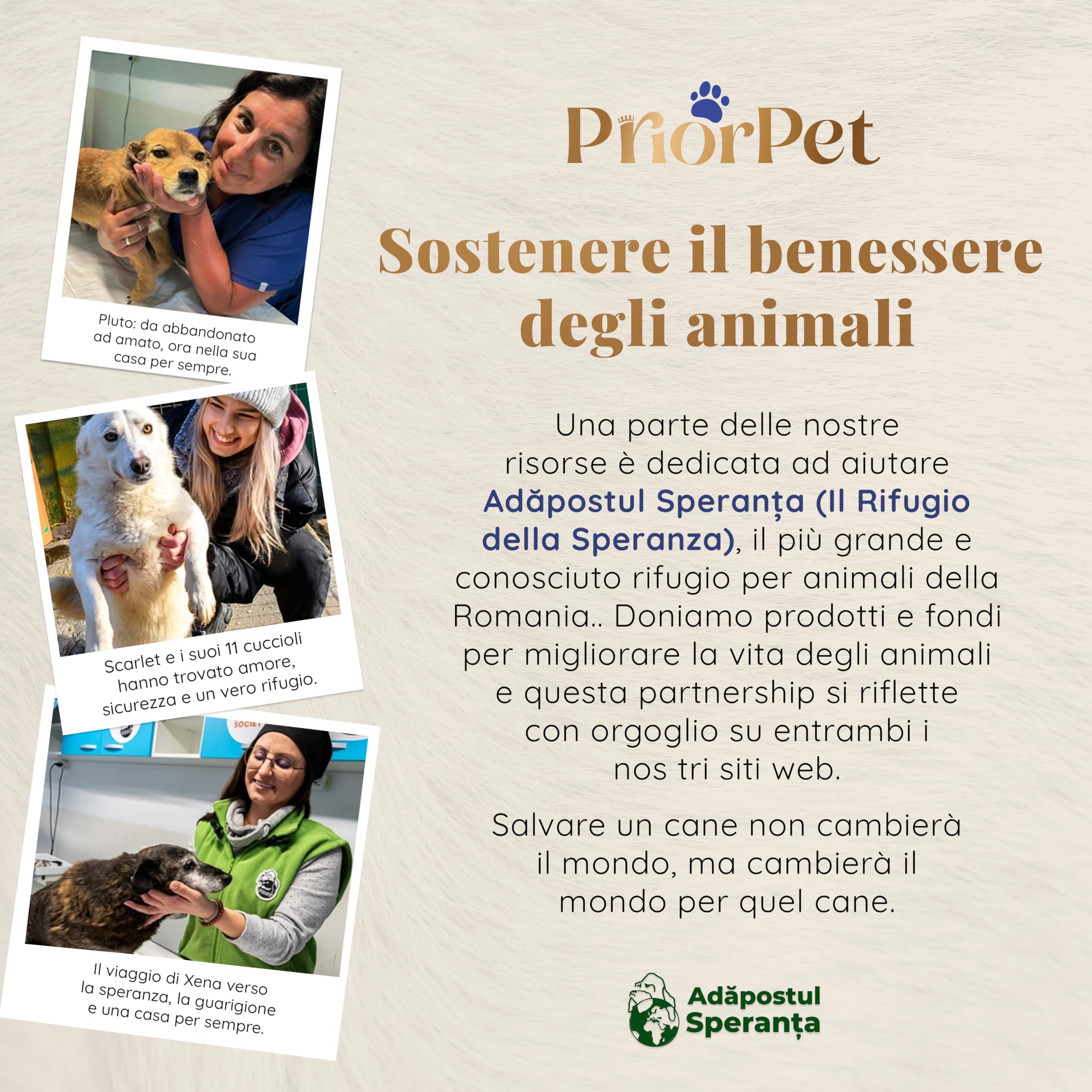 Rampa per Cani per Auto, SUV – Rampe Telescopiche Estensibili per Cani di Grossa Taglia – STABILI – ANTISCIVOLO – Sicurezza Notturna Lati Riflettenti – Capacità 90 kg – Clip di Bloccaggio – Nero