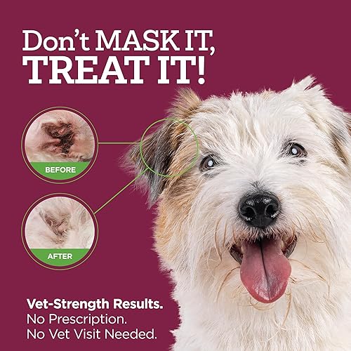 Miniatura 3 de Vetality Gotas óticas medicadas para tratamiento de infección de oído de perro, 2 onzas líquidas