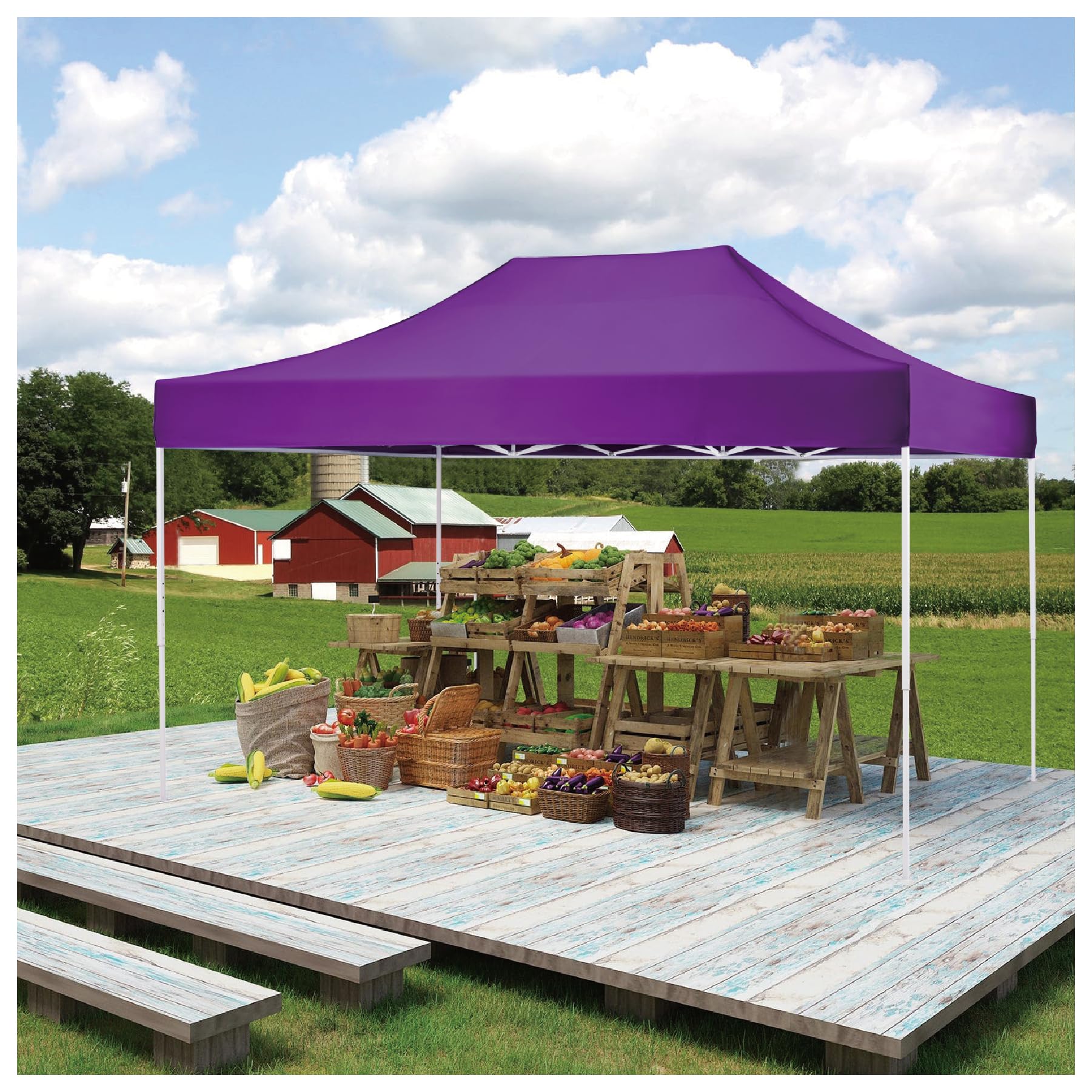 Amazon.com : AMERICAN PHOENIX 10x15 Pop up Tent Instant Canopy