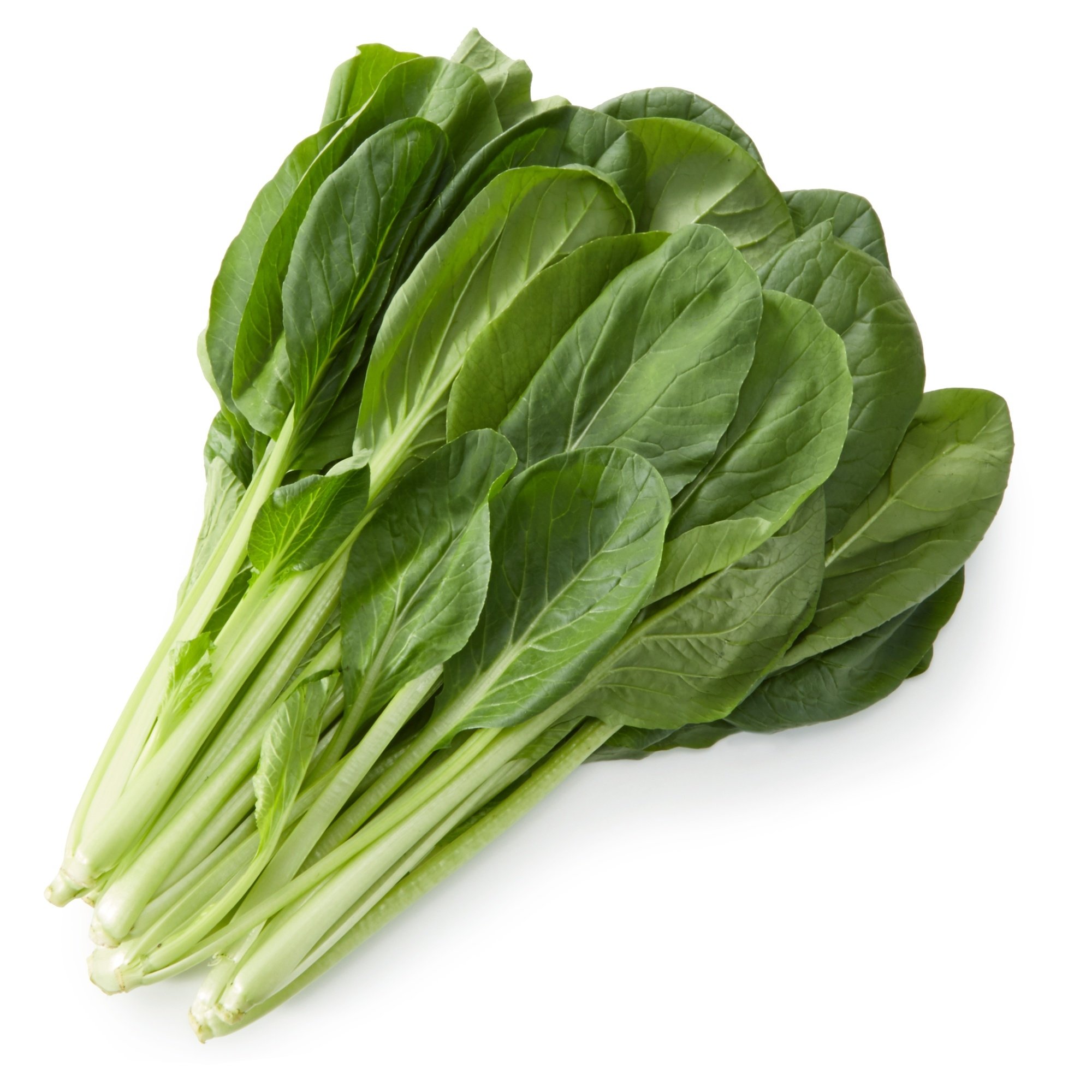 新鮮 小松菜 周年野菜】小松菜 200gx20袋（容量 4kg） – JAみい 野菜直販