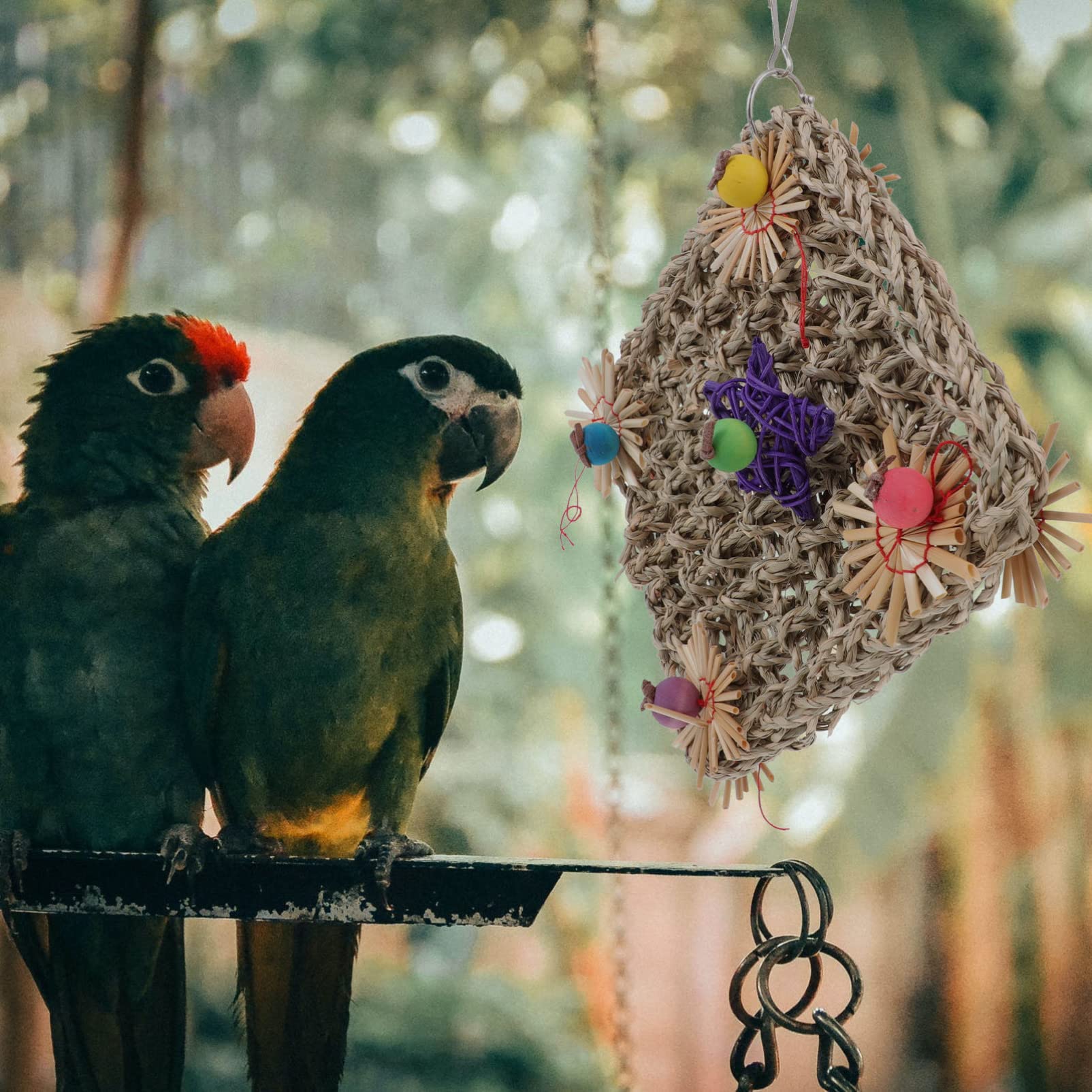 BESPORTBLE 3pièces Parfait Voici Le Titre pour Votre Produit Jouet pour Perroquet Filet Herbe Tissé pour Oiseaux à Mâcher Et Grimper Accessoire Amusant pour Oiseaux De Compagnie