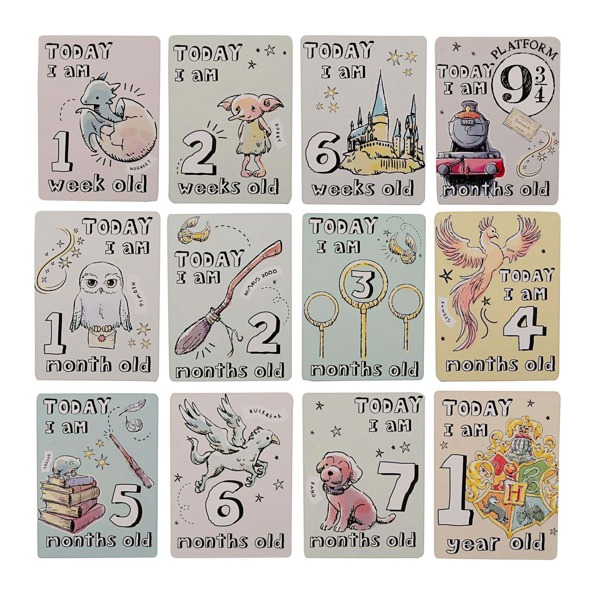 Harry Potter Charms Milestone Cards - Image 4